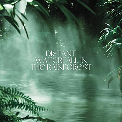 The Rainforest Collective