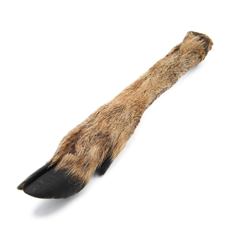 Superpet Hairy Deer Legs (3 Pack), Natural Dog Treats and Long Lasting Dog Chews, High Protein Venison Bones for Medium and Large Breeds, Hypoallergenic and Grain Free
