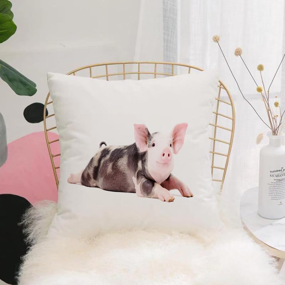 HYOSXW Cushion Cover,Throw Pillow Case Home Decorative for Living Room Bedroom Sofa Chair 16X16 Inch,Portrait of a funny little pig lying with legs outstretched isolated on white b,Pillowcase 40X40cm