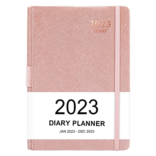 Agenda 2025 - Agenda 2025 da gennaio 2025 a dicembre 2025, Agenda Giornaliera Per Produttività con Schede Mensili, Tasca Interna, a Righe, 14,3 x 21 cm
