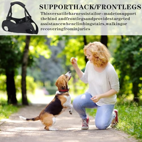 Umllpet Hunde Tragehilfe, Tragehilfe Hund Treppe, Tragbares Hundegeschirr, Verstellbare Gehhilfe für Hunde, Hundtragegurt für Kranke oder ältere Hunden,Ganzkörperhebehilfe für Mittlere Hund(Schwarz,M)