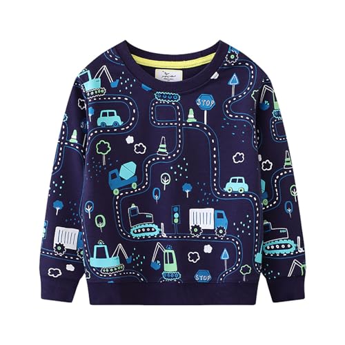 Boys Sweatshirts Casual Sweatshirts Cotton Sweatshirts Long Sleeve T-shirts Crew Neck Cartoon Tops for Boys-673