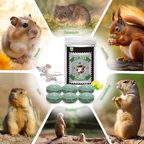 Mice Rodent Repellent, 12Pcs Peppermint Oil Mouse Repellent Balls for Rats Mice Deterrent, Keep Rodents Out of House Indoor Outdoor, Safe for Humans & Pets, Roache Ant Bug Spider Rat Control Mice Rodent Repellent, 12Pcs Peppermint Oil Mouse Repellent Balls for Rats Mice Deterrent, Keep Rodents Out of House Indoor Outdoor, Safe for Humans & Pets, Roache Ant Bug Spider Rat Control