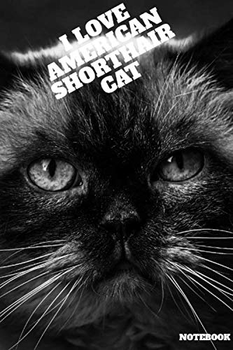 i love american shorthair cat notebook: Notebook: Abyssinian Cat Sacred Geometry Digital Art , Journal for Writing, College Ruled Size 6" x 9", 120 Pages