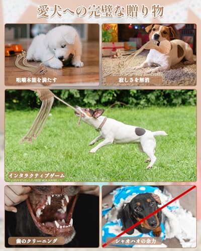 SCHITEC Dog Rope Toys, Plush Crinkle Tug of War Toy for Small Medium Large Dogs Interactive Octopus Stuffed Chew Toy for Puppy Teething - Image 4