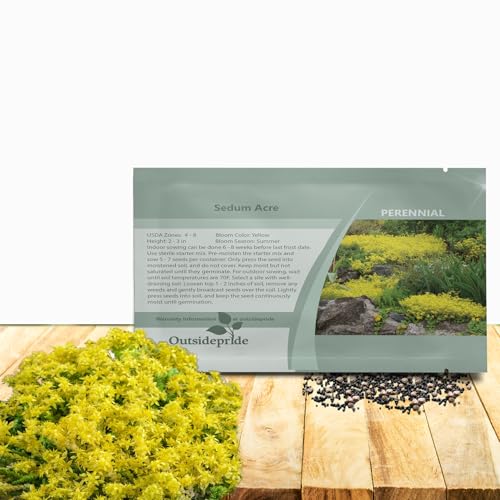 Outsidepride Acre Sedum Seeds - 5000 Pcs Perennial Ground Cover Seeds for Planting Cold-Hardy & Heat-Tolerant Succulent Plants Ideal for Rock Gardens Containers and Xeriscaping
