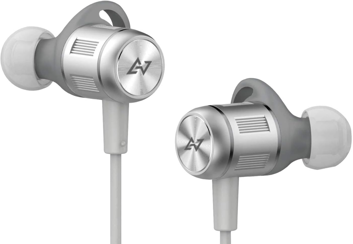 AVIOT Bluetooth Wireless Earphone WE-BD21d-SL (Silver)【Japan Domestic Genuine Products】【Ships from Japan】