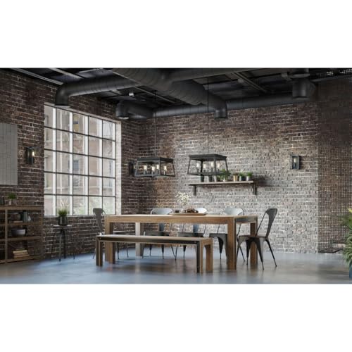 Progress Lighting P400047-031 Briarwood Collection Light Fixture, Farmhouse Style Modern Chandelier for Kitchen and Dining Room, 4-Light Textured Black - Thumbnail 2