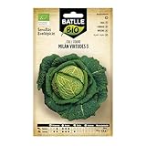 Graines Bio de Batlle - Chou de Milan Virtudes 3 (2g)...