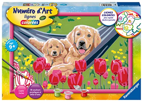 Peinture par numéros Ravensburger Labrador et Tulipes grand format pour enfant dès 7 ans