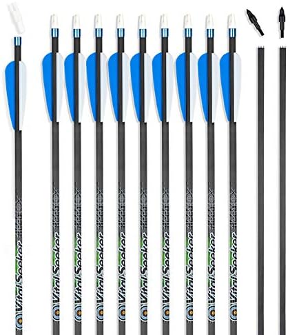 REEGOX Arrows Archery Hunting Practice Arrows for Compound and Recurve Bow-30 inch Target Arrows for Youth & Adults with Removable Tips(Pack of 12)