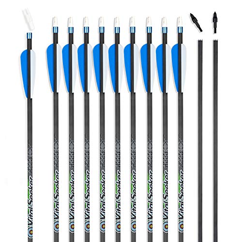 Reegox Arrows Archery Hunting Practice Arrows For Compound And Recurve Bow-30 Inch Target Arrows For Youth & Adults With Removable Tips(Pack Of 12) #TOP22