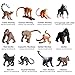 Imagen de JOKFEICE 12 Figuras de pequeños Monos realistas