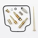 Vergaser Reparatursatz für 1 Vergaser