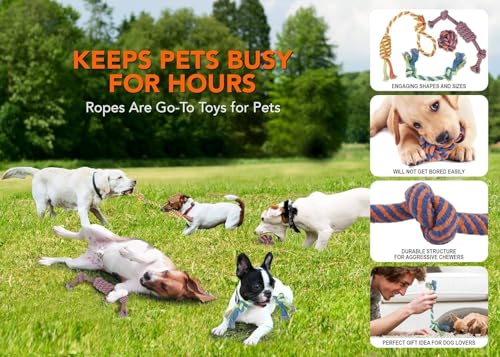 Image of Dog Rope Toys Set of 5 - Tough Chew Toys for Aggressive Chewers & Large Breeds | Heavy Duty Indestructible Cotton Dental Knot Toys | Puppy Teething Tug Toy Kit | Multicolor