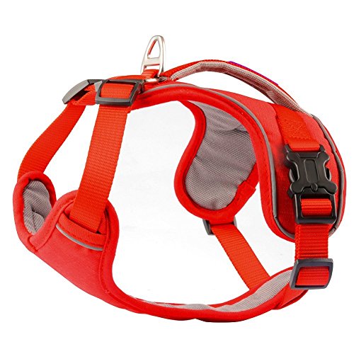PETLOFT Arnés de Perro, Suave Esponja Acolchado para Cuello/Pecho Arnés para Perro Ajustable Arnés para Mascota con asa Trasera