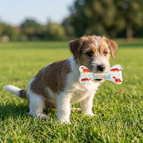 Set 30 unidades de juguetes mordibles con chirridos para perros miniatura 6
