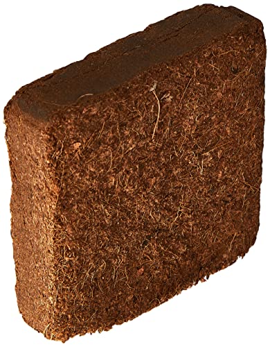 Trixie 76152 Kokosfaserhumus, Substrat, gepresst, ergibt 2 l