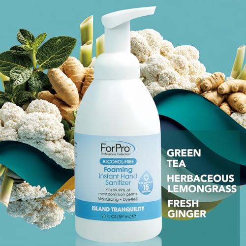 Image of ForPro Alcohol-Free Foaming Instant Hand Sanitizer, 20 Fl Oz - Moisturizing, Dye-Free Formula, Island Tranquility Scent