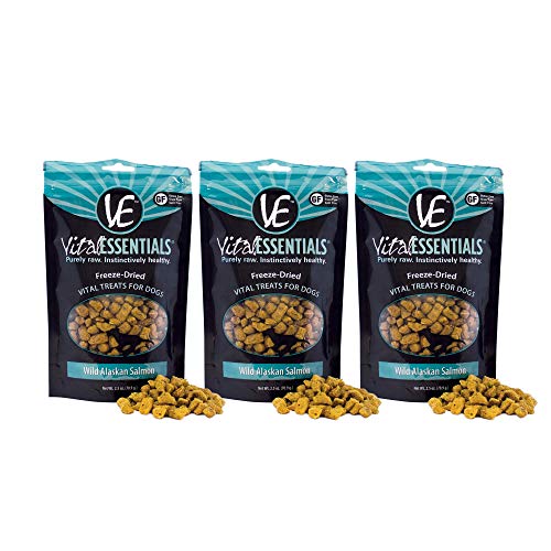 Vital Essentials Freeze Dried Grain Free Salmon Treats for Dogs - All-Natural Omega 3 & 6 for Immune Support - Heart Health - Shiny Coat - Allergy Support - All Breeds