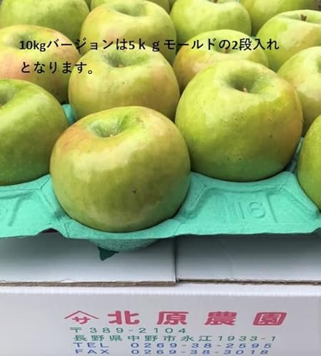 쌧Y Y_ƒ Hp 񂲁uOj[X~Xv9.5`10i傫ɂ10`25ʓjn11{C̔11{` NbLOAbv̑\iIi{IɉHĂB_ςS̍Dȕ͐HOKłC