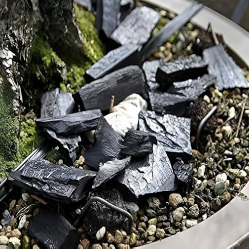 Image of Go Garden Horticultural Charcoal 450g for Orchid, Succulent, Adenium, Terrarium & Gardening | Natural Soil Filter + Long Burning Coal for Havan, BBQ, Cooking & Pooja Dhoop