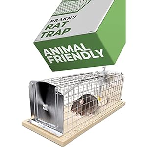 Praknu Rattenval Live Trap 30 cm Groot – Huisdiervriendelijk & Herbruikbaar – Klaar voor gebruik – Voor Ratten & Woelmuizen