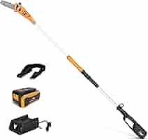 MOWOX 40V Cordless Pole Saw - 8" Oregon Bar & Chain, 500mm Telescopic, Brushless Motor, Includes 4Ah Battery & Charger