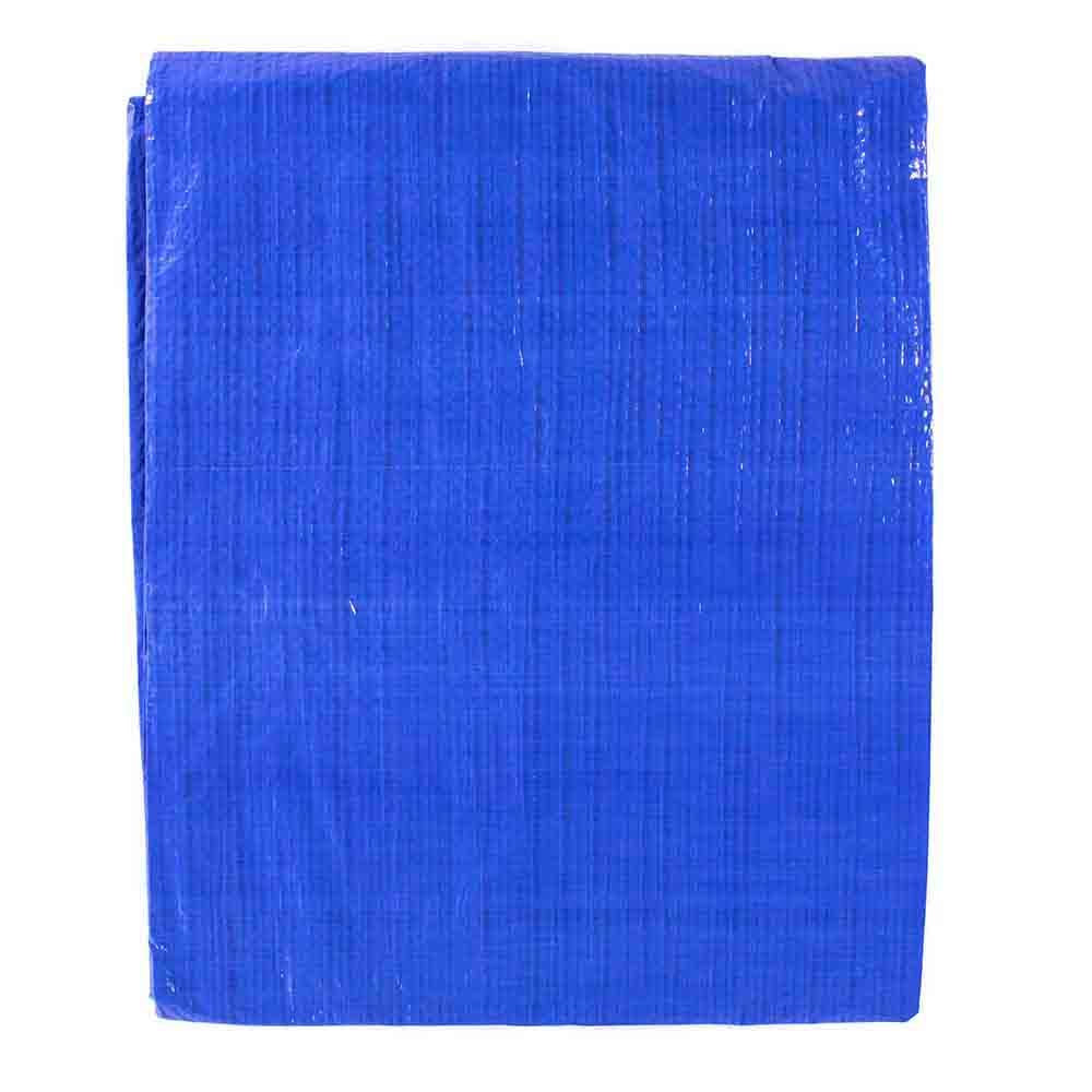 Golberg 6-ft x 8-ft General Purpose Poly Tarp (Blue)