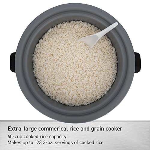 Image of Panasonic Commercial Electric Rice Cooker, 120V Extra-Large Capacity 60-Cup (Cooked), 30-Cup (Uncooked) with One-Touch Operation - SR-GA541FH - Silver