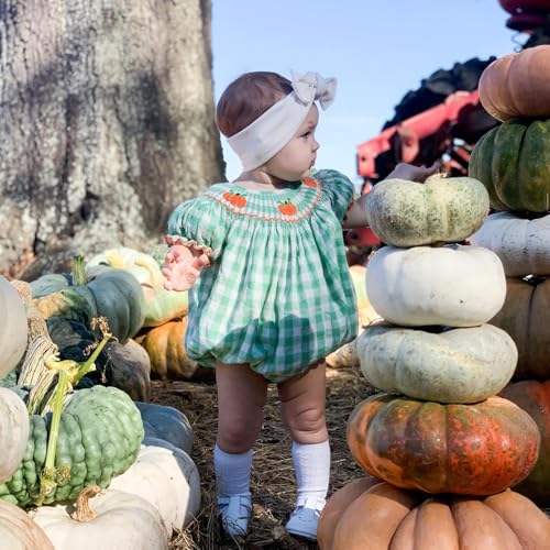 Newborn Baby Girl Halloween Outfit Pumpkin Print Plaid Puff Sleeve Smocked Bubble Romper Jumpsuit Bodysuit Clothes3