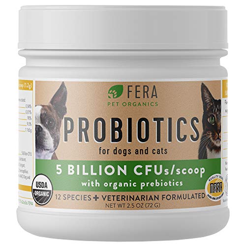Best Probiotic For Cats With Ibs 10Reviewz