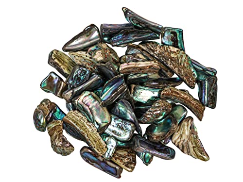 Image of 1 /4 Pound of Highly Polished Paua Abalone Shell Nuggets: 20-50mm (565-TNHP-4)