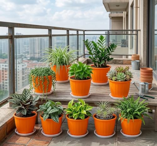 Go HookedPlastic Duro Flower Pot for Gardening, Indoor/Outdoor Planter-Orange (8 Inch)(Pack of 10 with Tray)