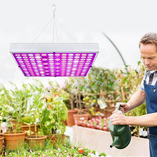Armarios Cultivo Interior Kit Completo Lec Marca ele ELEOPTION