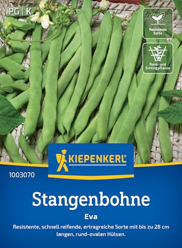 Kiepenkerl Stangenbohnensamen Eva 1003070 - Gemüsesamen für resistente Stangenbohnen mit bis zu 28 cm langen Hülsen und einem Inhalt für 15 Stangen - Gemüse Pflanzen