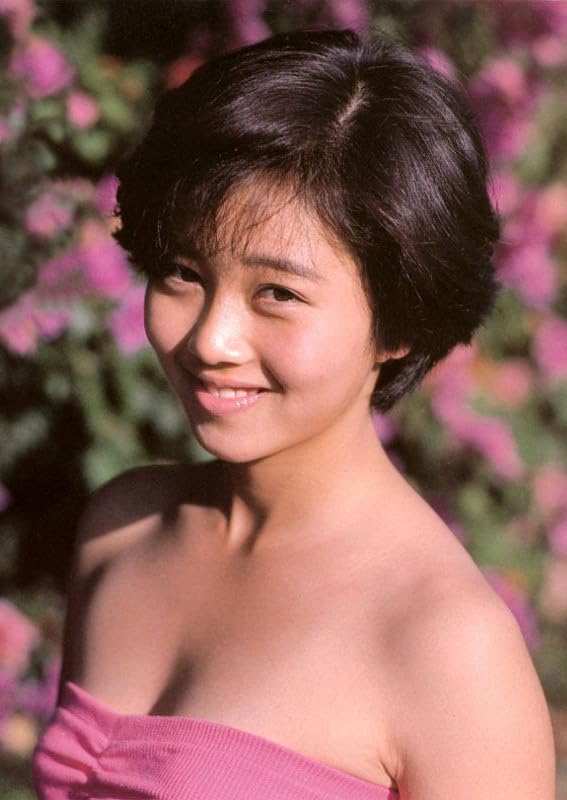 浅香唯プロマイド Amazon.co.jp: 浅香唯 公式写真 ブロマイド 4枚 美 : Toys & Games