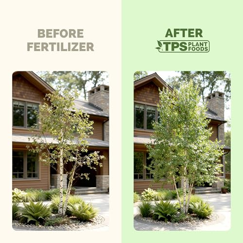 Fertilizante líquido para abedules 32 oz miniatura 3