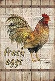 besonders starkes Stahlblech Fresh eggs Frische Eier Hahn Huhn Holzoptik Blechschild Metallschild Schild gewölbt Metal Tin Sign 20 x 30 cm
