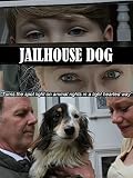 Jailhouse Dog