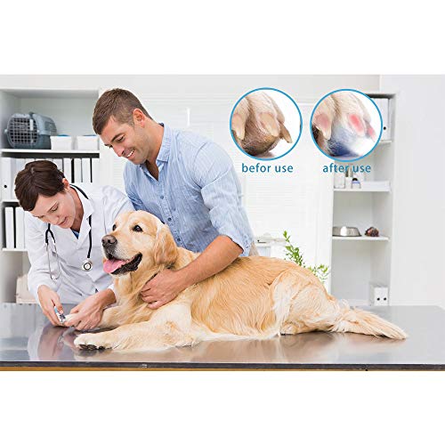 SYOSIN Dog Cat Nail Clippers and Trimmer,Pet Nail Clippers with LED Light to Avoid Over-Cutting Nails,Free Nail File and Razor Sharp Blade,Professional Grooming Tools at Home