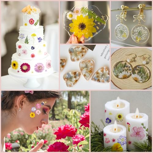 98 piezas flores secas prensadas grandes para resina miniatura 6