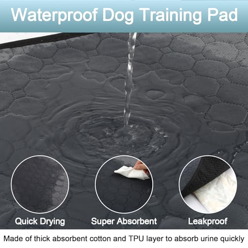 2 Stück Welpenunterlagen Waschbar, 60 × 50cm Hundedecke Wasserdicht Antirutsch, Super Saugfähig PIPI Matten für Hunde, Wiederverwendbare Hundetrainingspads, Hundematte für Boden Sofa Auto Reisen
