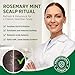 RoyceDerm Rosemary Mint Scalp Scrub Clarifying Scalp Exfoliator Refreshing Clean Scalp, Cooling Micro-Exfoliation with Botanical Extracts, For All Scalp Types (Rosemary Mint Scalp Scrub)