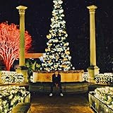 Will Morris Recordings