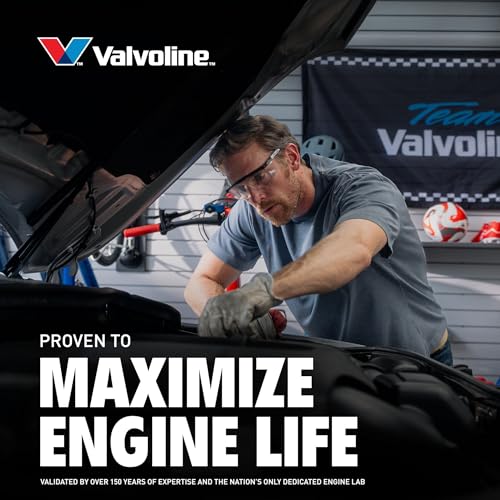 Valvoline Daily Protection SAE 10W-30 Conventional Motor Oil 1 QT, Case of 6