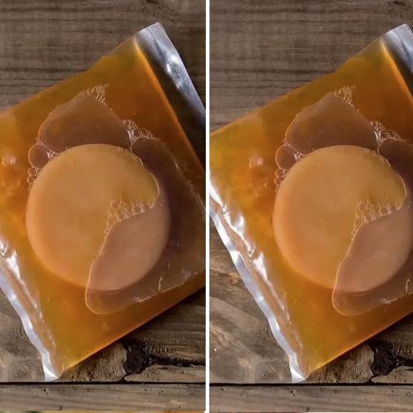 Pack 2X Disco SCOBY Kombucha Fresco + Instrucciones + Recetas + Ayuda y Asesoramiento en español - OH MY KÉFIR