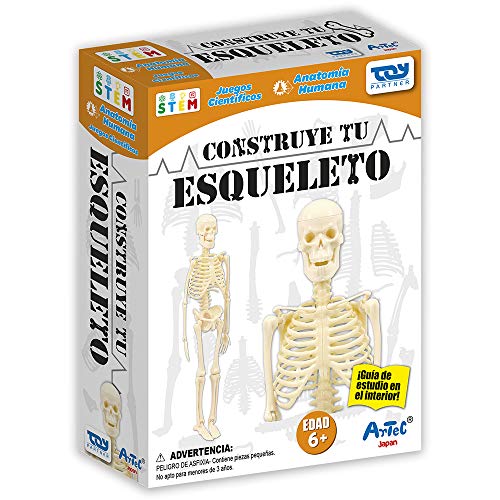 Toy Partner-96425 Artec Hol construye el esqueleto 22x16cm, Multicolor (96425) Cover