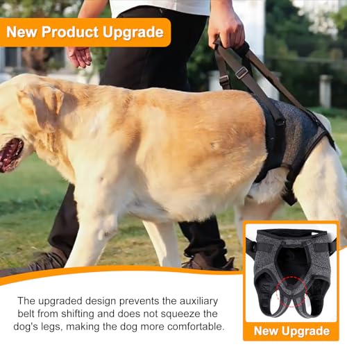 Dog Lifting Harness,Dog Support Harness Slings for Back Legs,Adjustable Assistance Support Strap for Injured,Disabled,Elderly Dogs (S) - Image 6