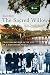 The Sacred Willow: Four Generations in the Life of a Vietnamese Family